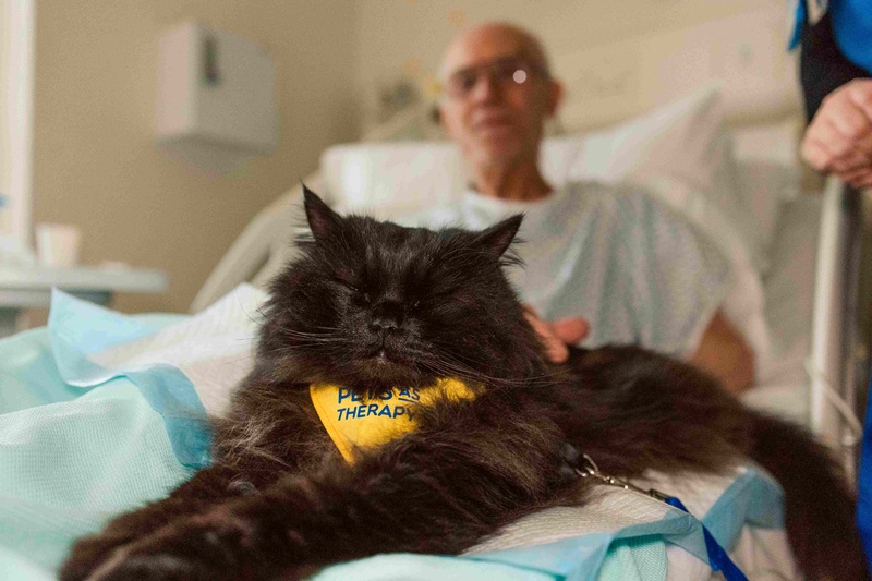 BetterwithPets Prize