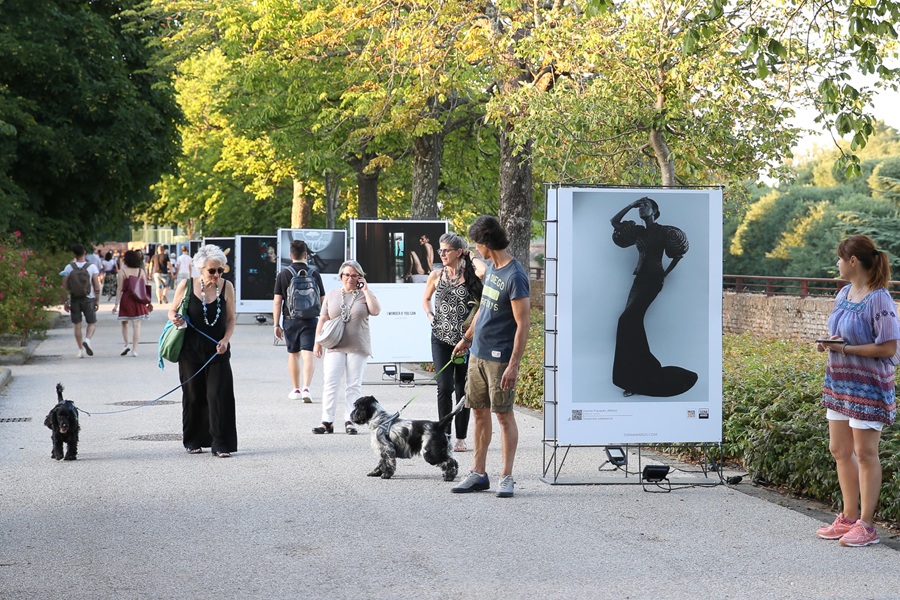 Siena Awards Festival