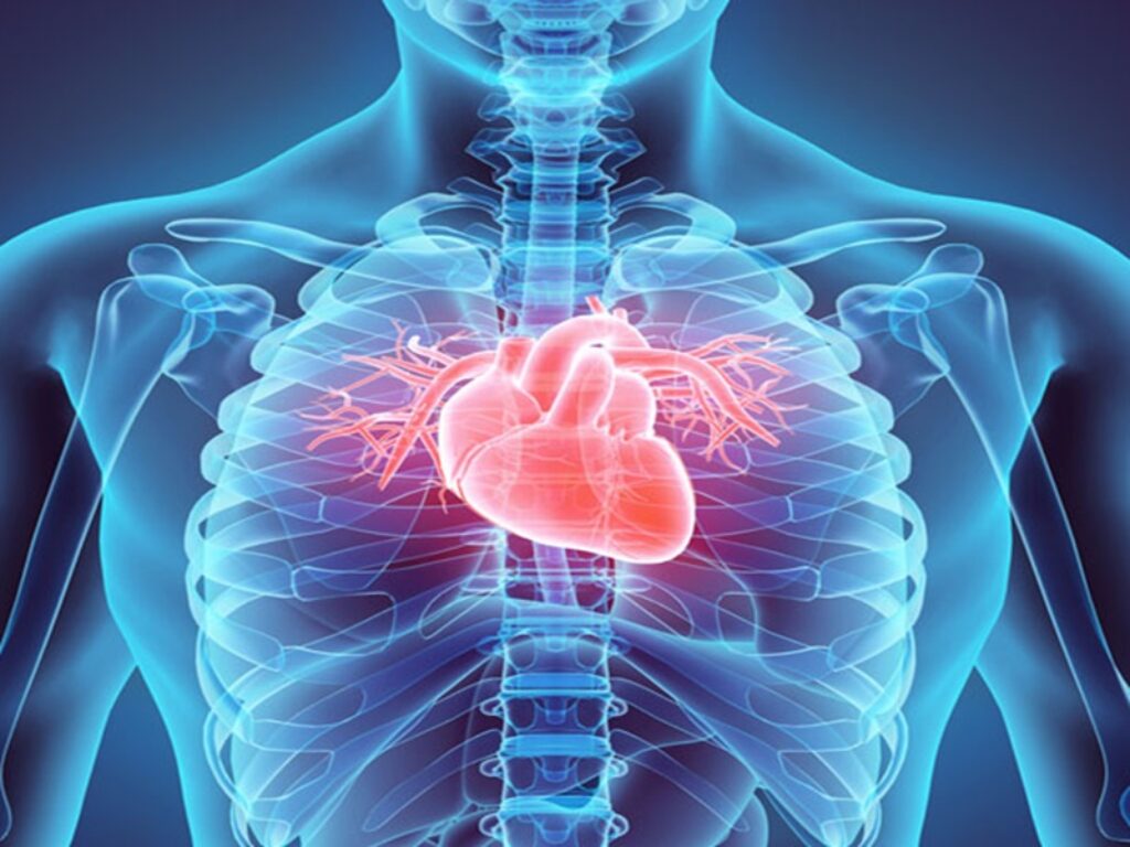 rivascolarizzazione cuore infarto