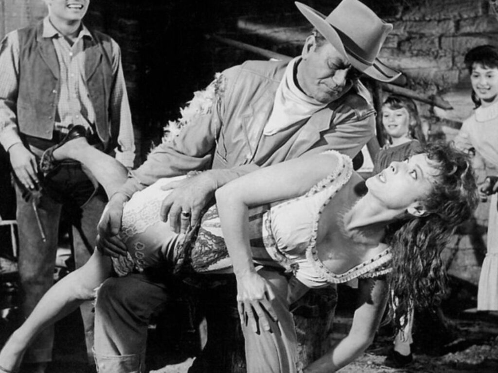 i quattri figli di katie elder film trama