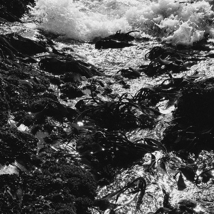 lillo morreale cover