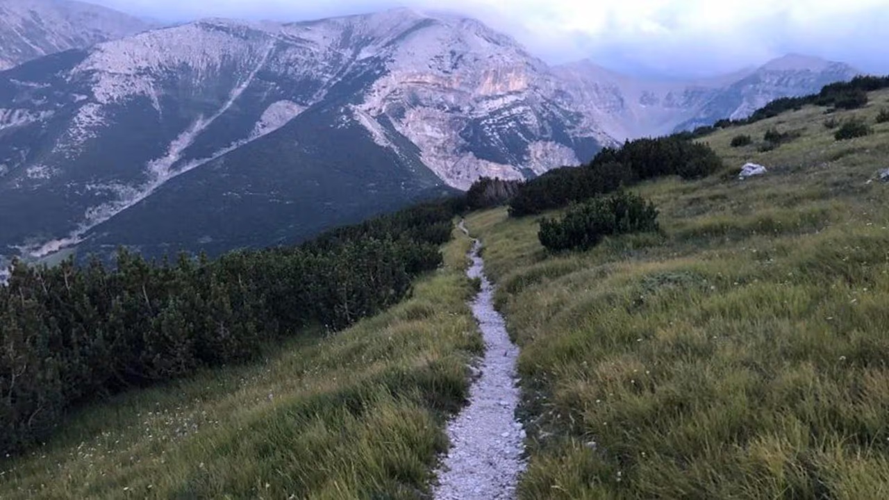 parco d'abruzzo