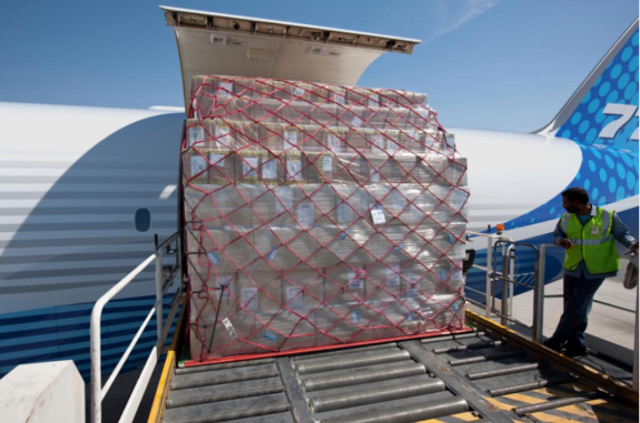 armi israele malpensa