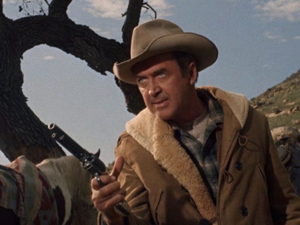 cavalcarono insieme film