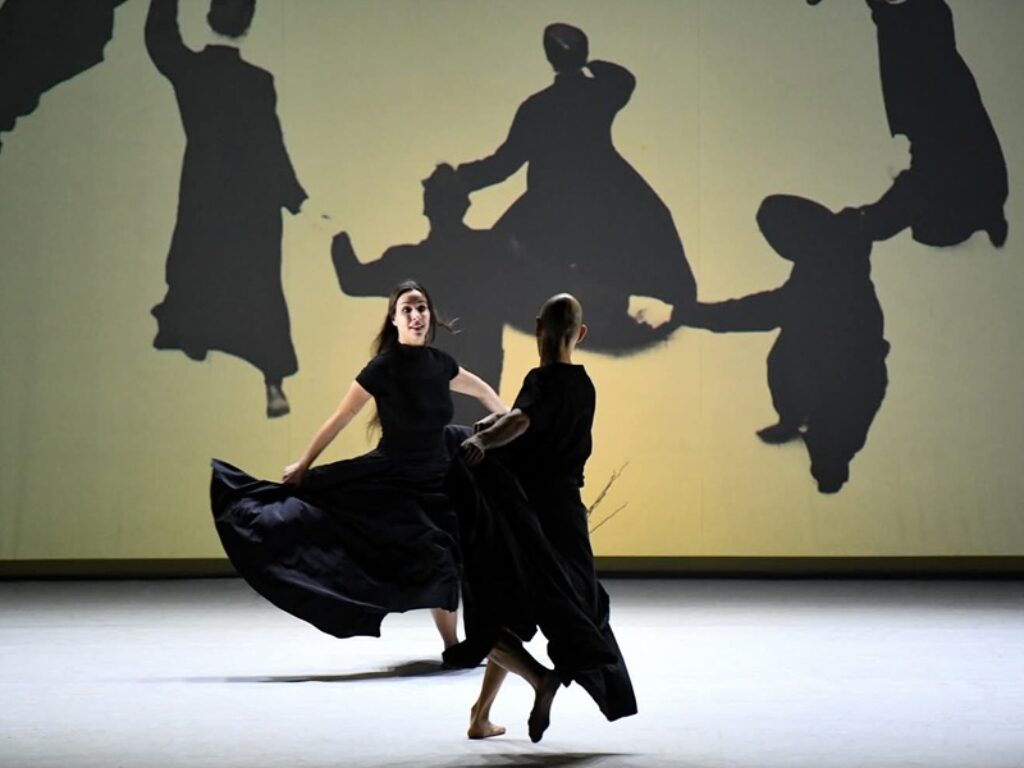 DANCESCREEN IN THE LAND