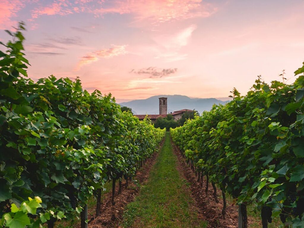 franciacorta festival