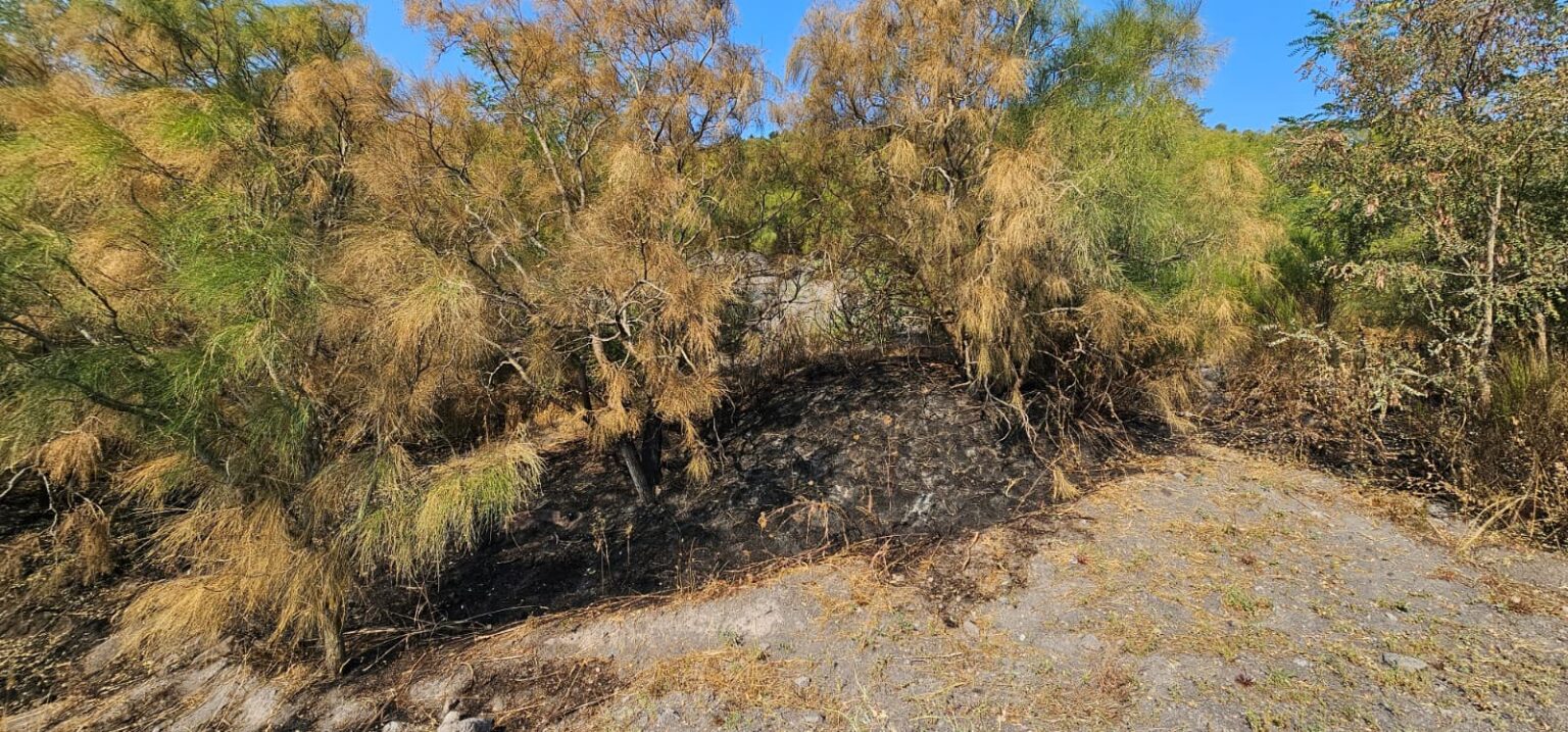 incendi vesuvio