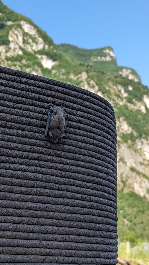 Olivo Barbieri e Mario Cucinella