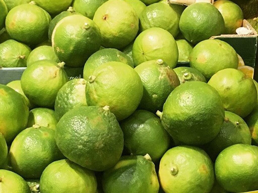 cne federimprese bergamotto di calabria