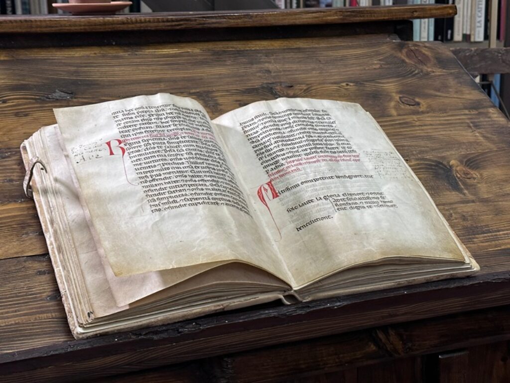 festival delle creature