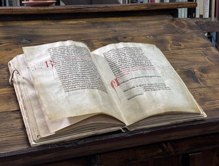 festival delle creature