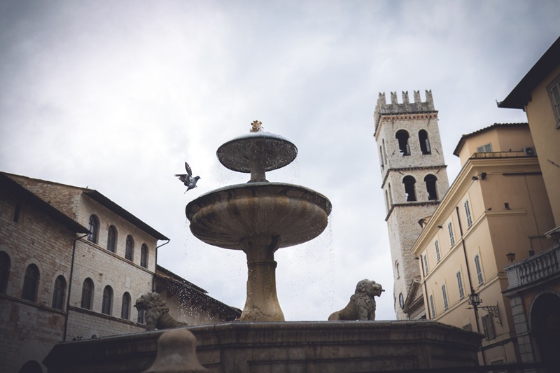 festival delle creature