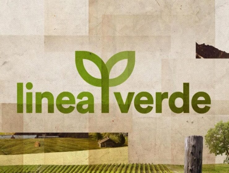 linea verde
