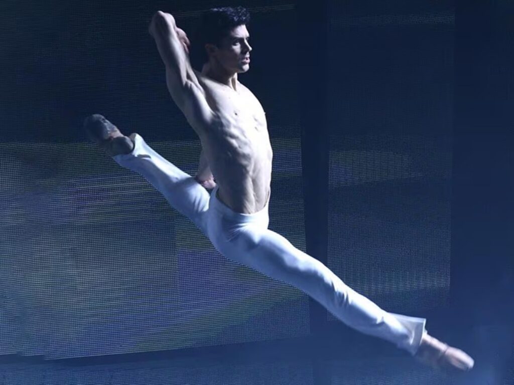 roberto bolle