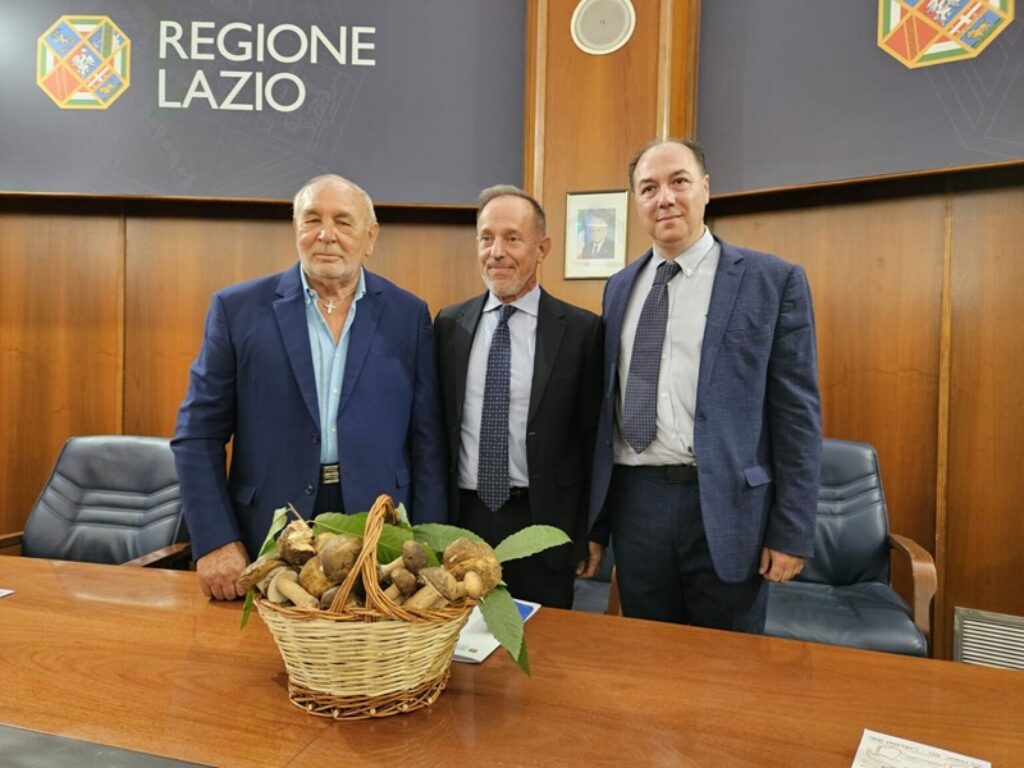 lariano sagra fungo porcino