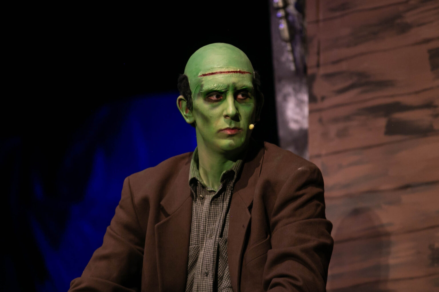 Frankestein junior il musical foto