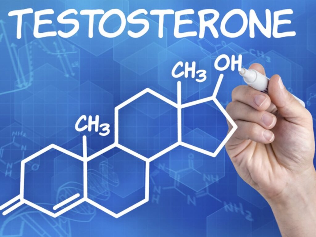 testosterone