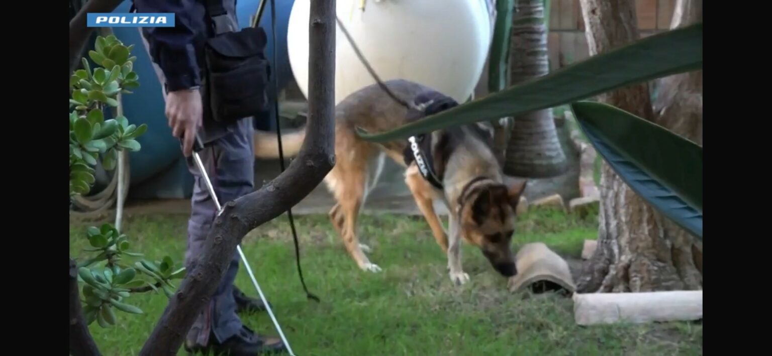 donna reggio calabria infanticidio