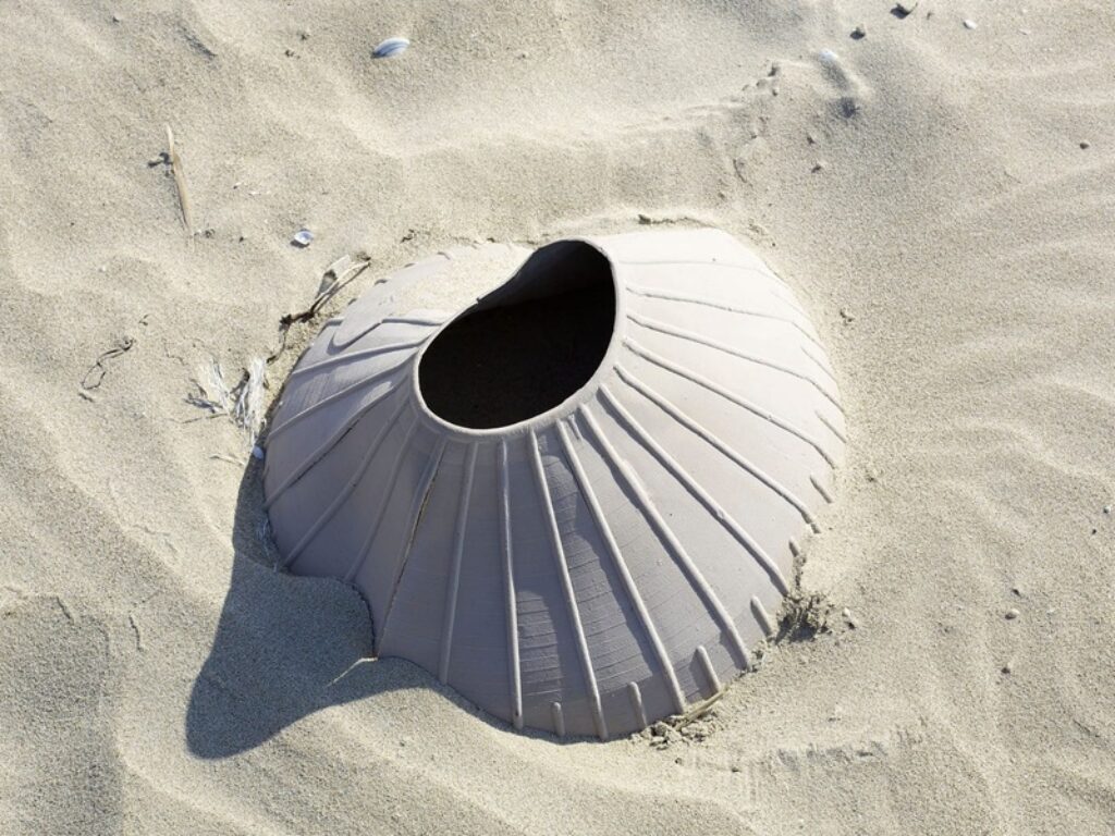 giuseppe ripa mostra