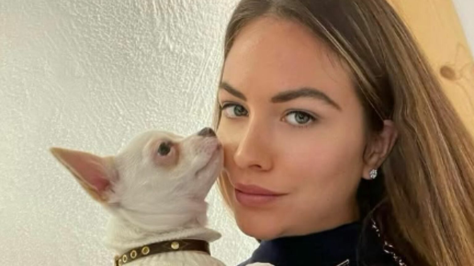 pamela genini e cane bianca
