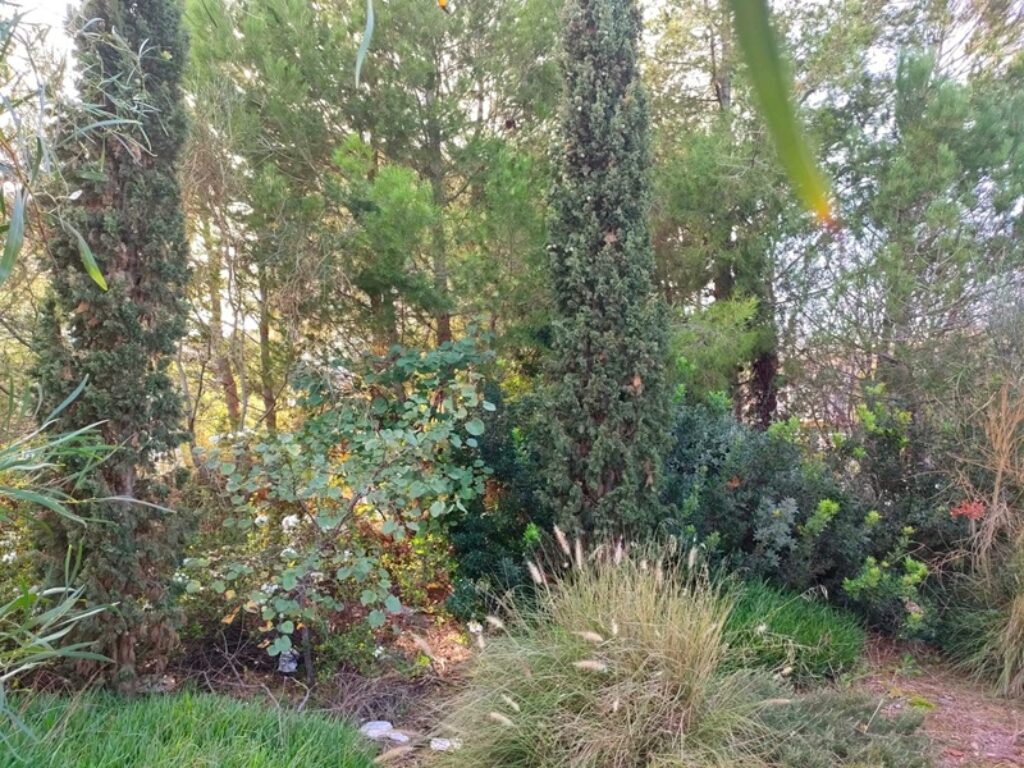 Il giardino del Terzo Luogo Manifatture Knos