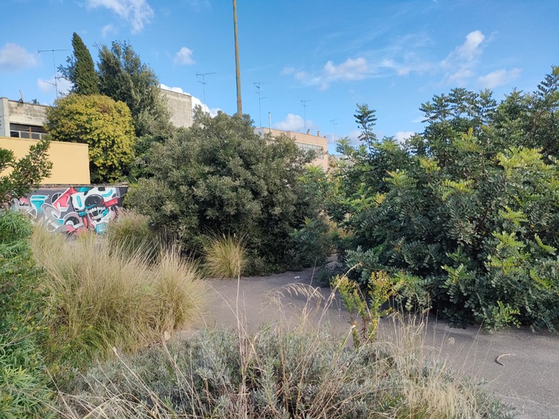 Il giardino del Terzo Luogo Manifatture Knos