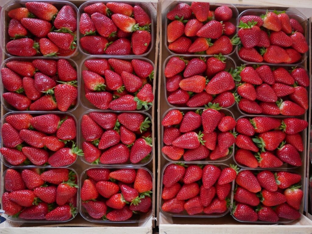 fragola della basilicata