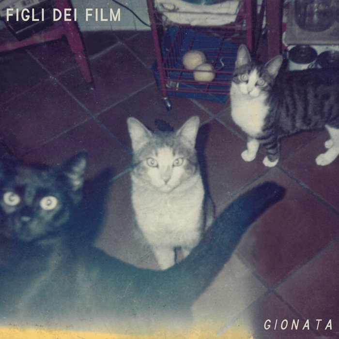 gionata