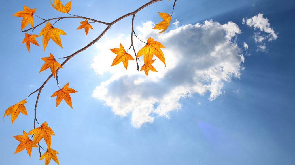 estate di san martino