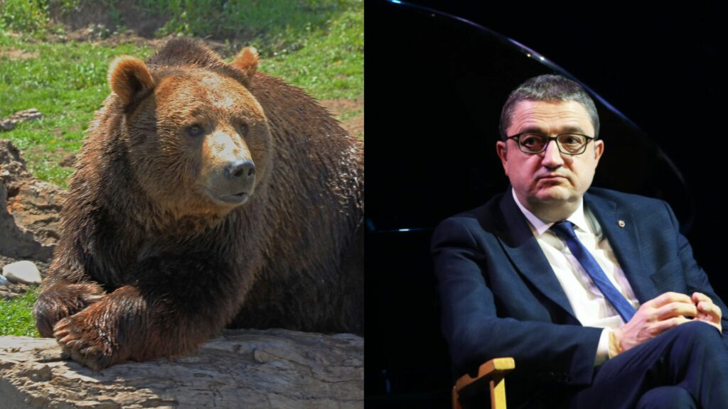 orso e fugatti