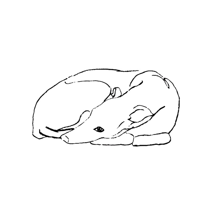 problemidifase cover