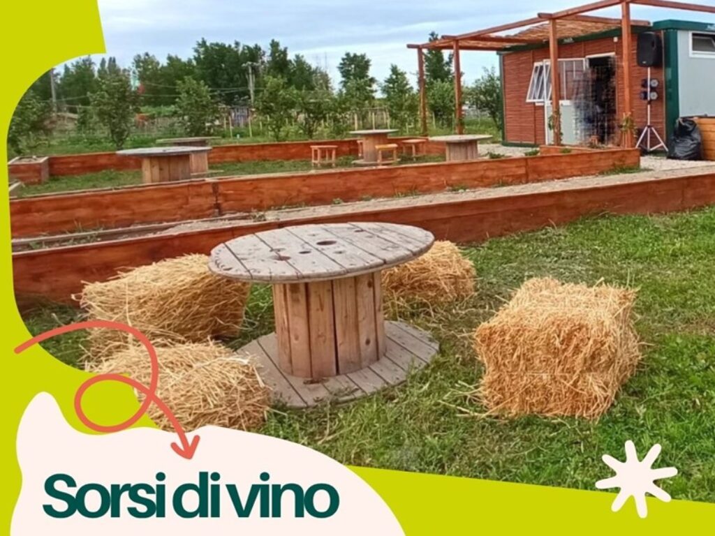 sorsi di vino