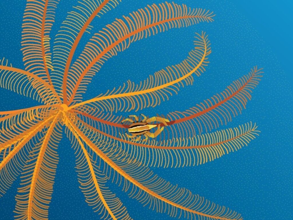 Francesco Tomasinelli al WILDLIFE Photographer of The Year