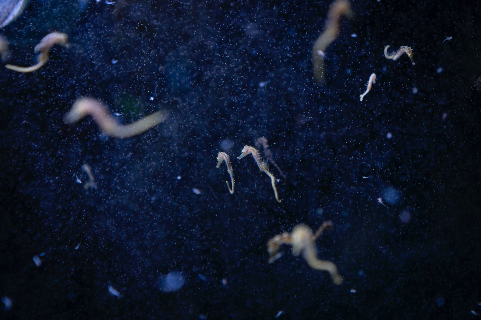 Hotspot Mediterraneo