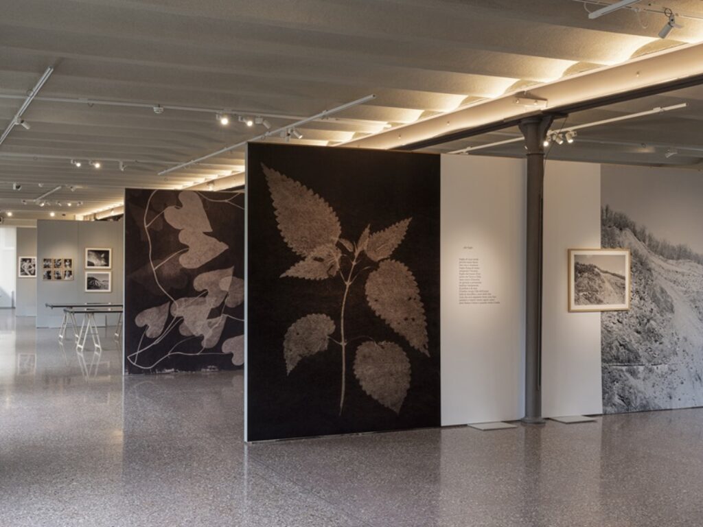 Sillabari d'Appennino