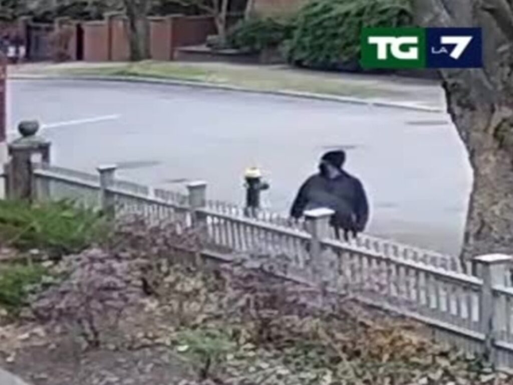 killer brown university