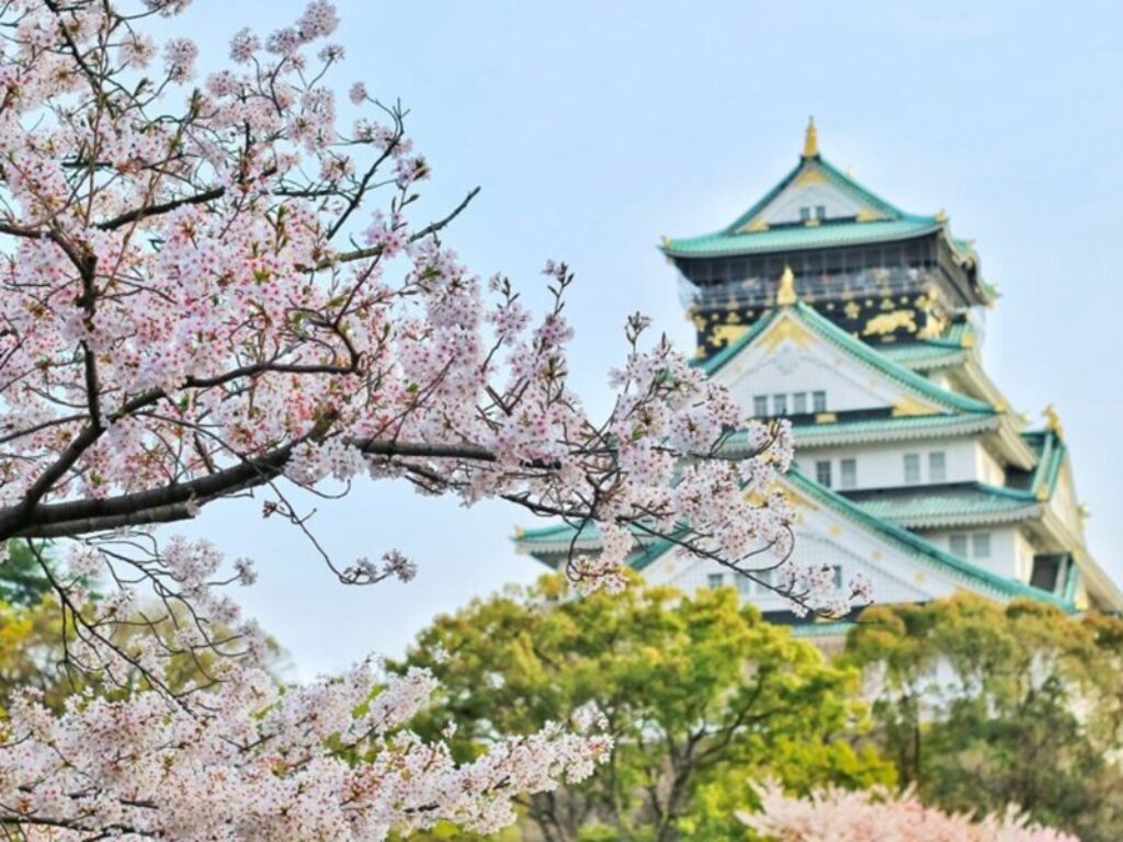 sakura