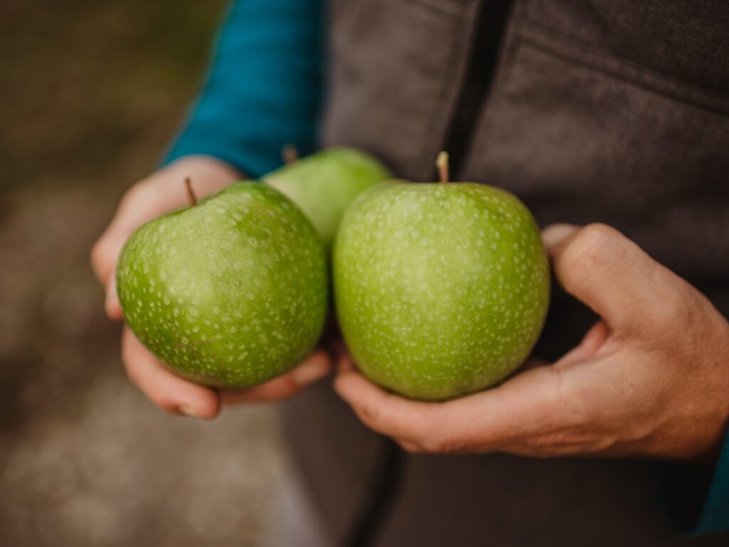 Granny Smith Val Venosta