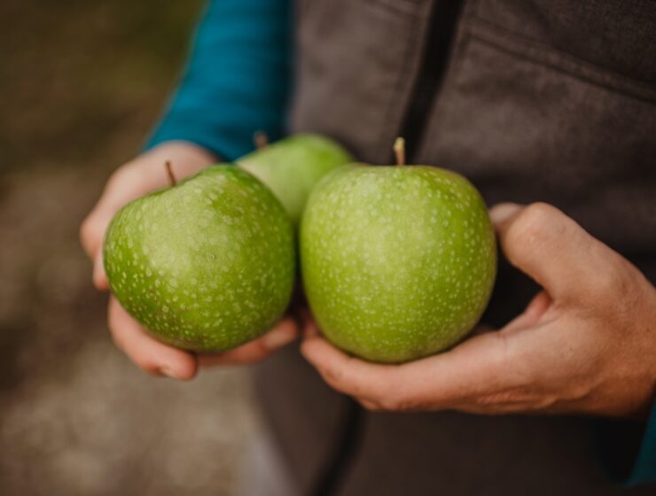 Granny Smith Val Venosta