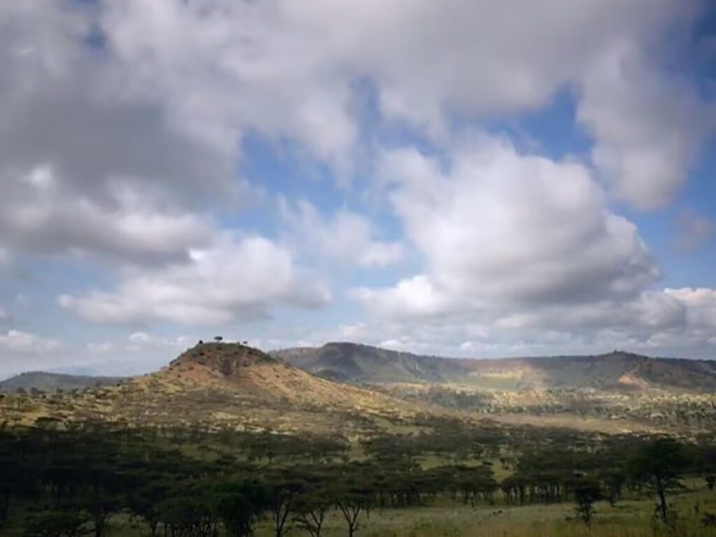 i meccanismi della natura