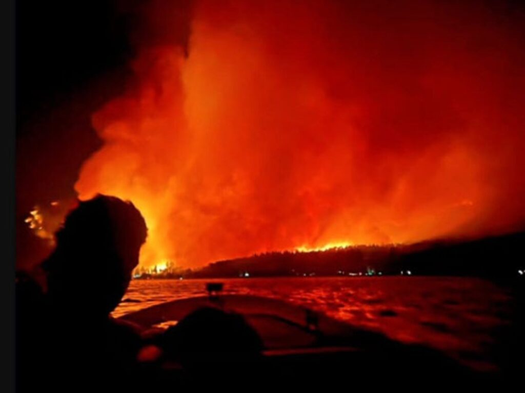 incendi patagonia
