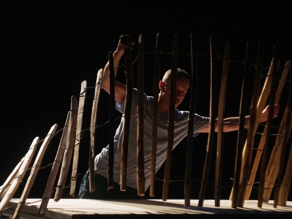 TROGLODYTE_ZAUNGAST/ZAUNKÖNIG