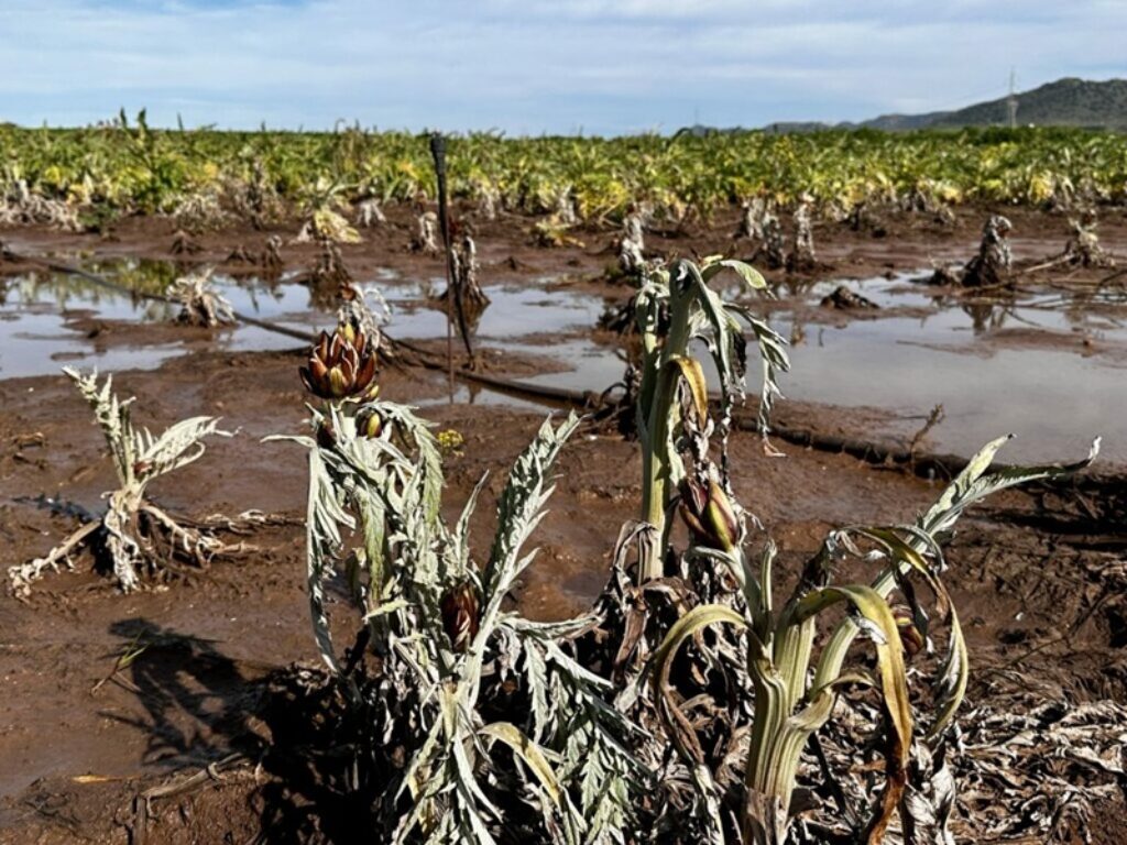 maltempo danni sardegna