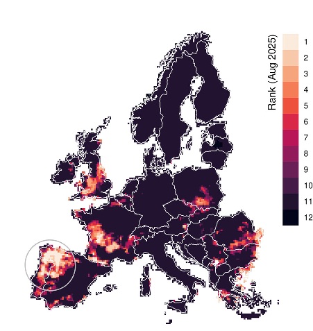 mappa incendi europa 2025