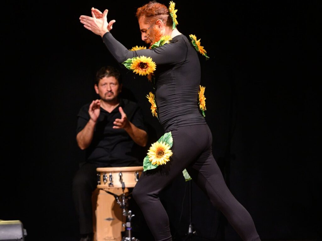 van gogh flamenco