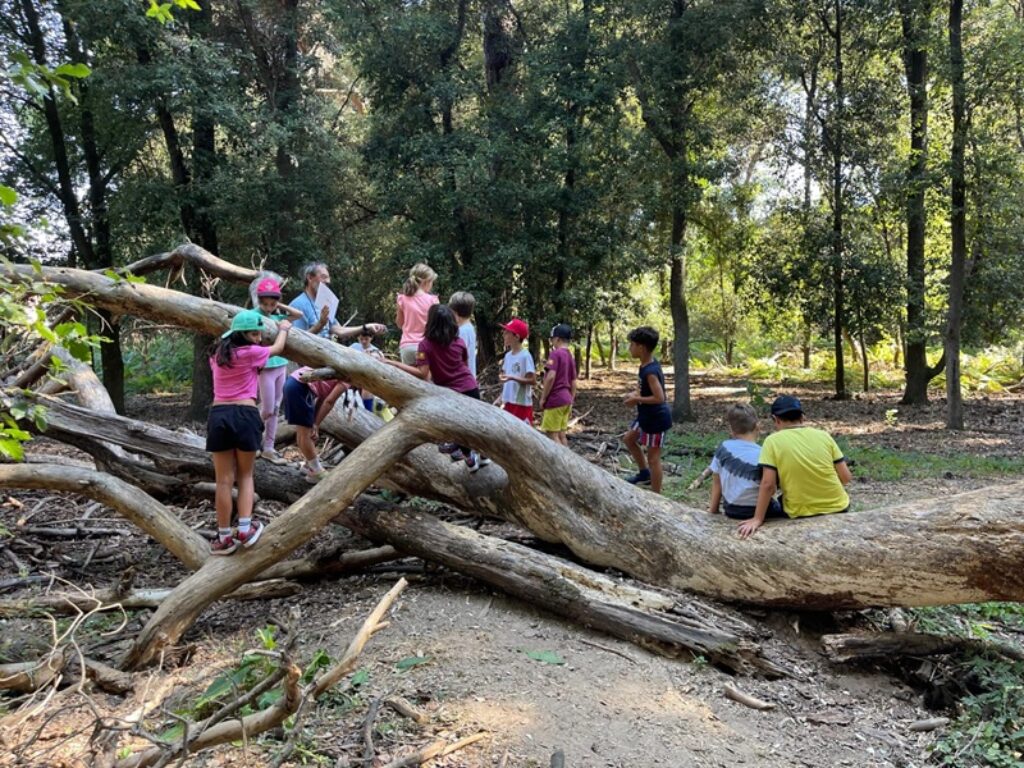 campi estivi