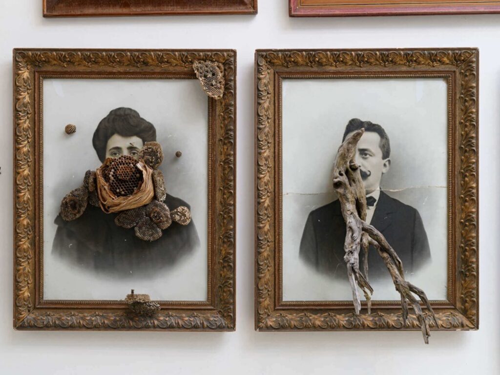 materia madre mostra