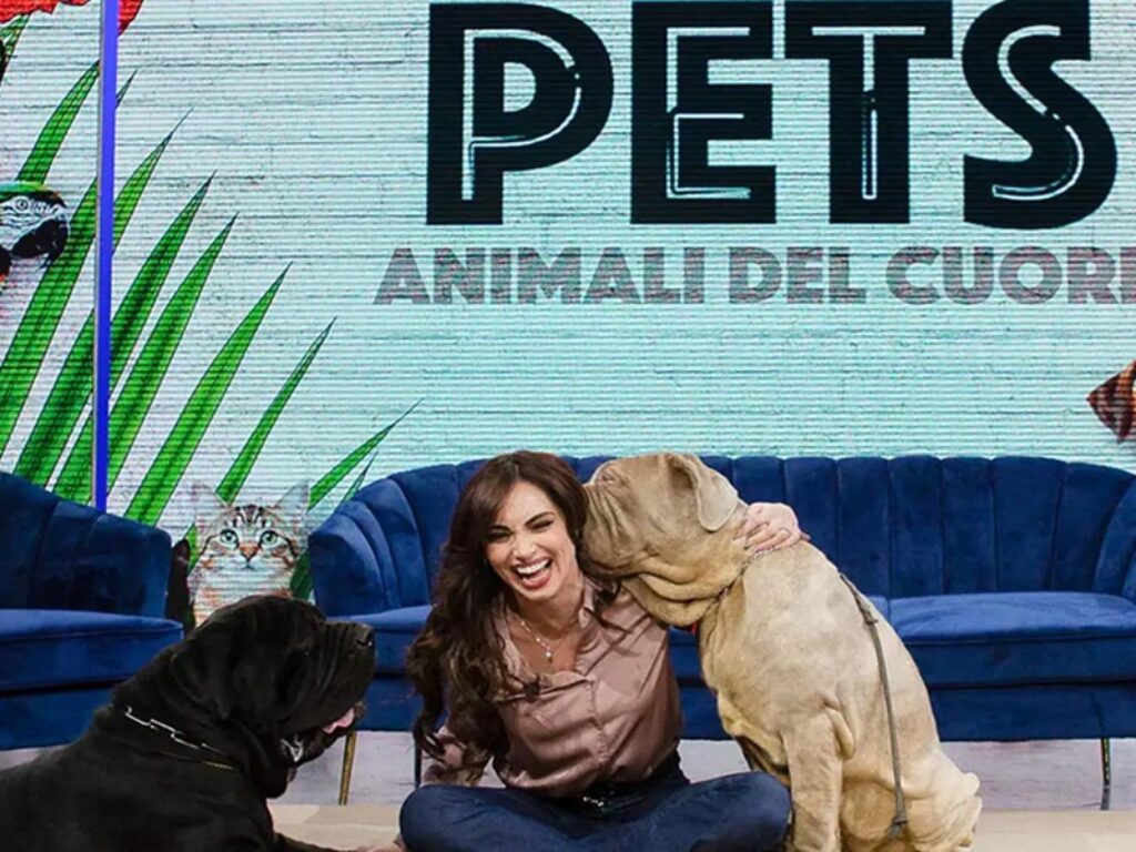 pets - animali del cuore