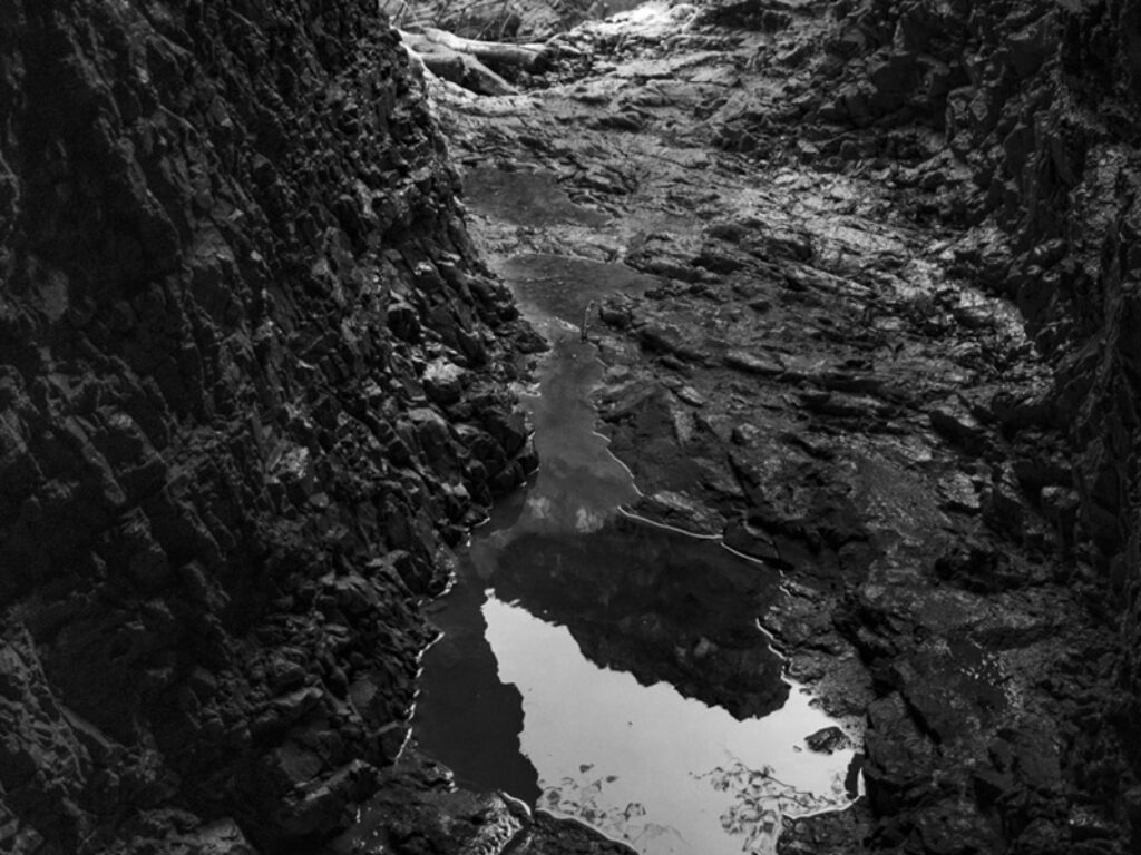la forma dell'acqua