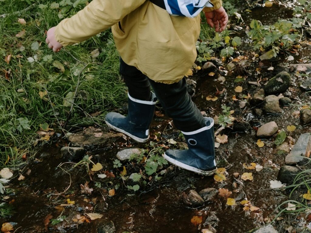 bosco